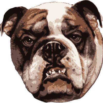 Bulldog Thumbnail