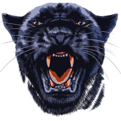 Panther Thumbnail