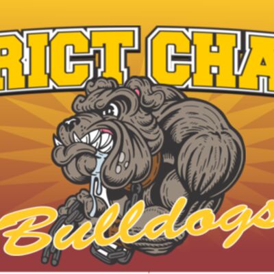 District Champs 96x36 Thumbnail