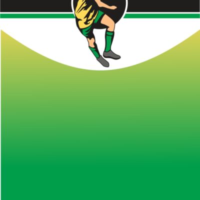 Soccer 06 24x36 Thumbnail