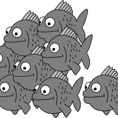 Fish Group Thumbnail