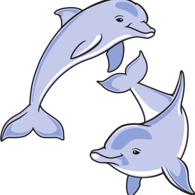 Dolphins Playing Thumbnail