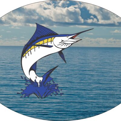 Sailfish Test Image Thumbnail