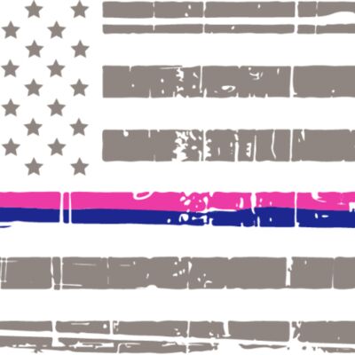blue and pink lives regular flag horizontal Thumbnail