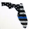 State of Florida Blue Line Decal 4" Thumbnail