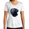 Ladies Multi Color Sublimatable PosiCharge Competitor Tee Thumbnail